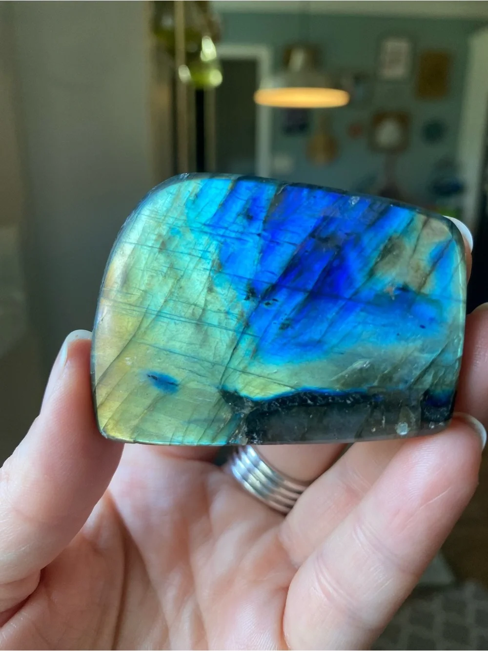 ✨ Double-Sided Blue & Gold Flash Labradorite Freeform ✨